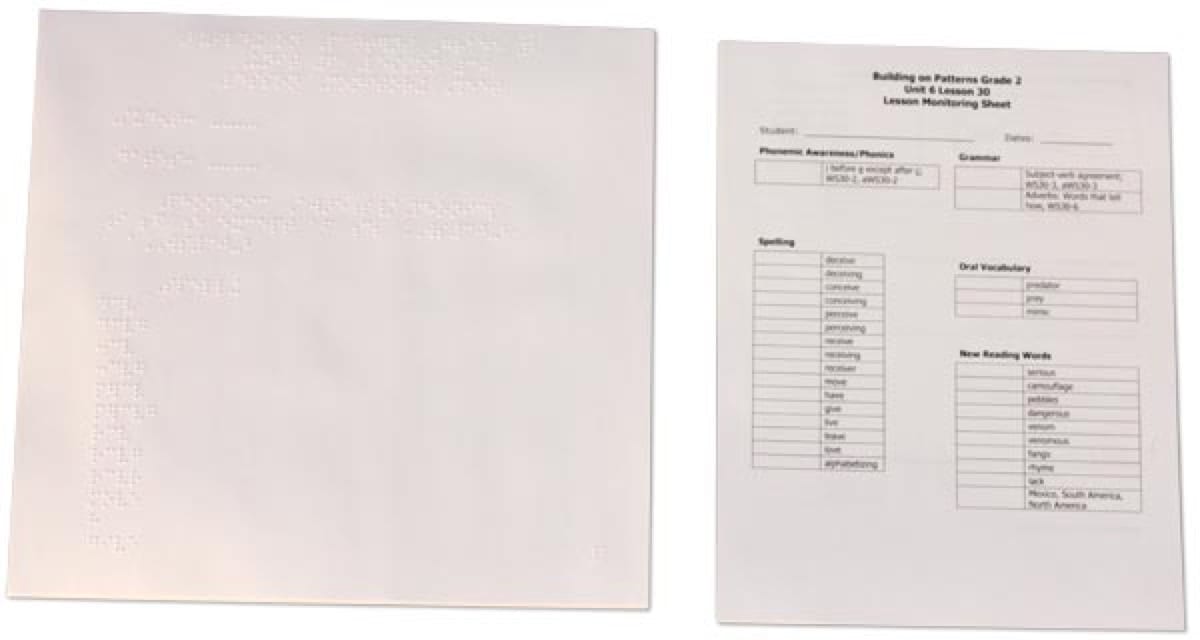 8-78473-U6-BOP-GR2-Lesson-Monitoring-Shts Building on Patterns Second Grade Unit 6 Monitoring Sheets